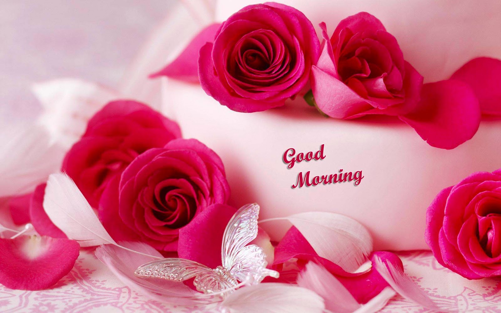 Good Morning Image - Beautiful Romantic Good Morning , HD Wallpaper & Backgrounds