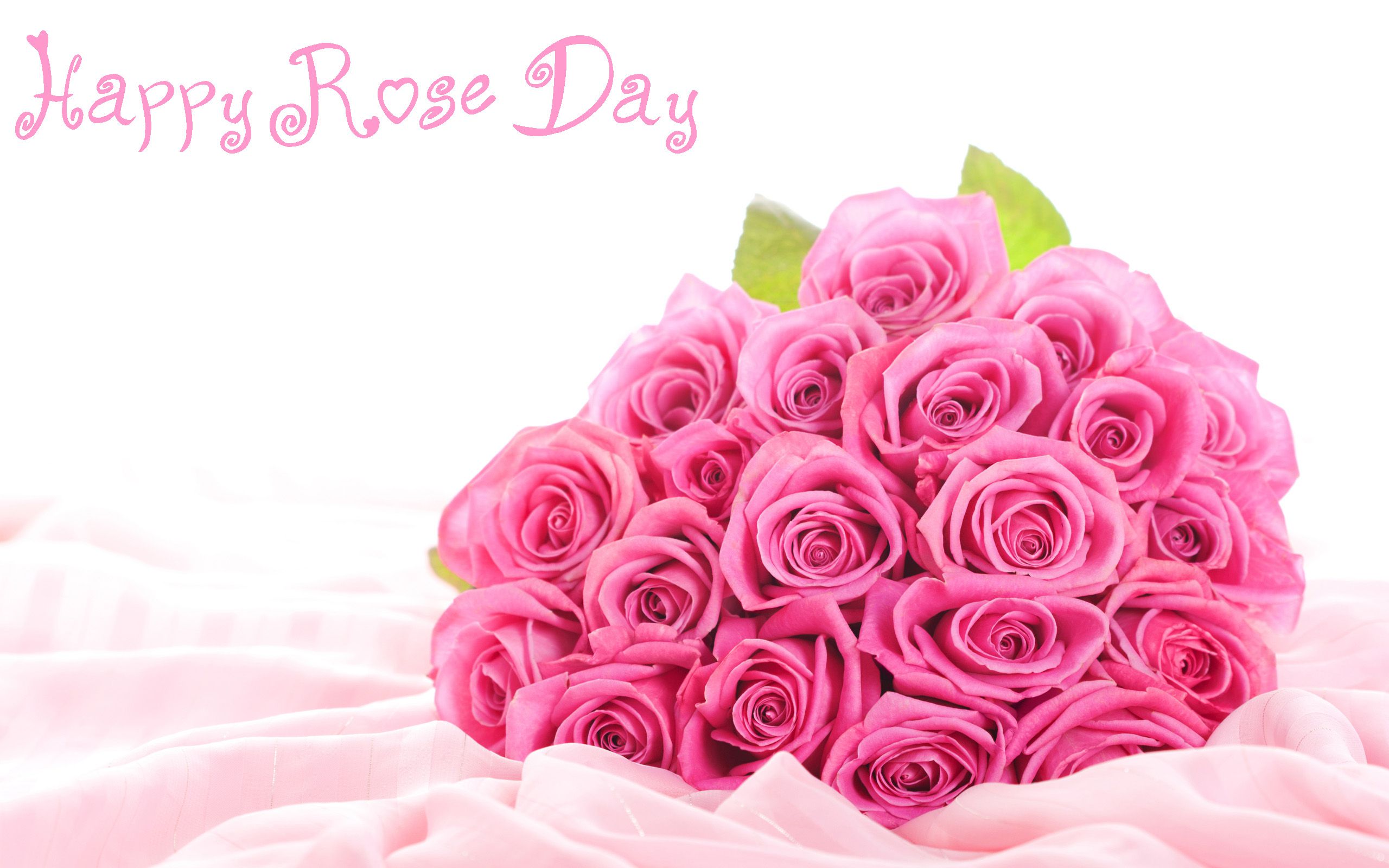 Download Send Rose Day Wallpapers Greetings Images - Rose Day Images Hd , HD Wallpaper & Backgrounds