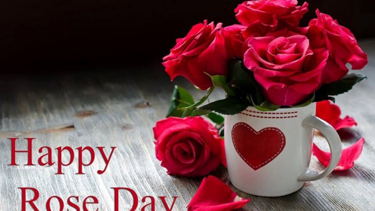 Happy Rose Day 2017 Images Wallpapers Video Download - Happy Rose Day 2019 , HD Wallpaper & Backgrounds