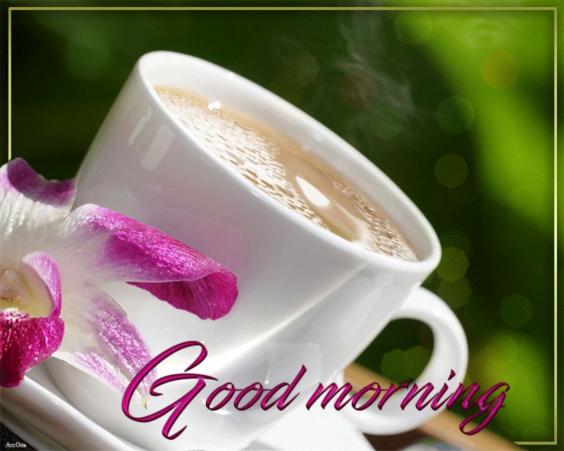 Happy Monday Gif Good Morning , HD Wallpaper & Backgrounds