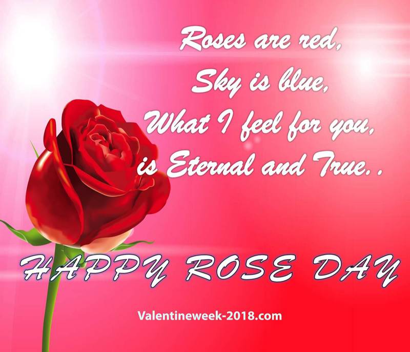Happy Rose Day 2019 Images Wishes Wallpapers, Photos - Edradour Distillery , HD Wallpaper & Backgrounds