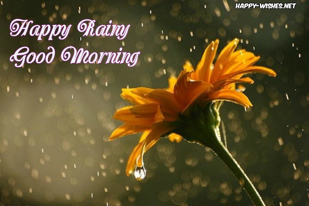 Have A Romantic Mansoon Good Morning Images With Wet - Good Morning Happy Wishes Net , HD Wallpaper & Backgrounds