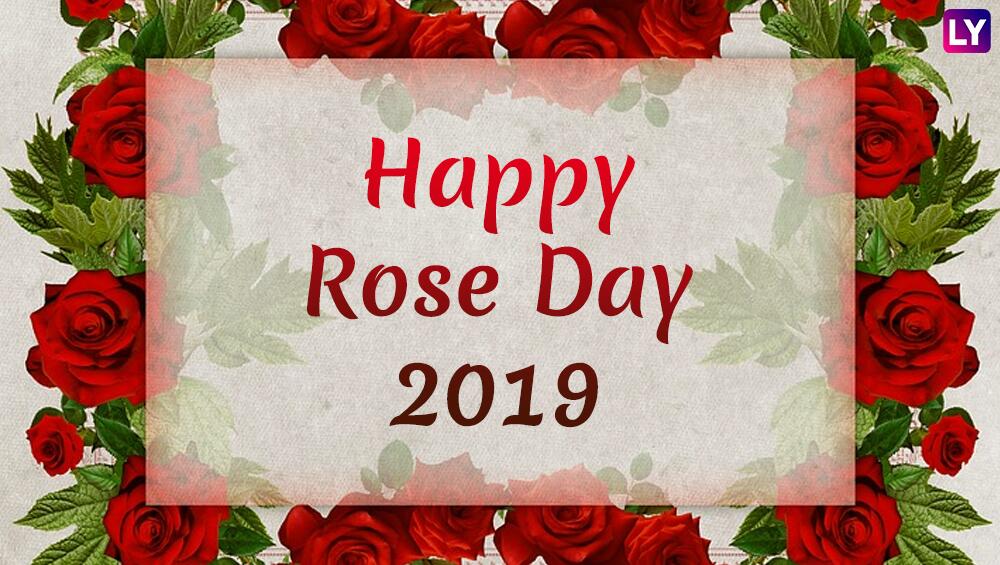 Happy Rose Day 2019 - Happy Women's Day 2019 , HD Wallpaper & Backgrounds