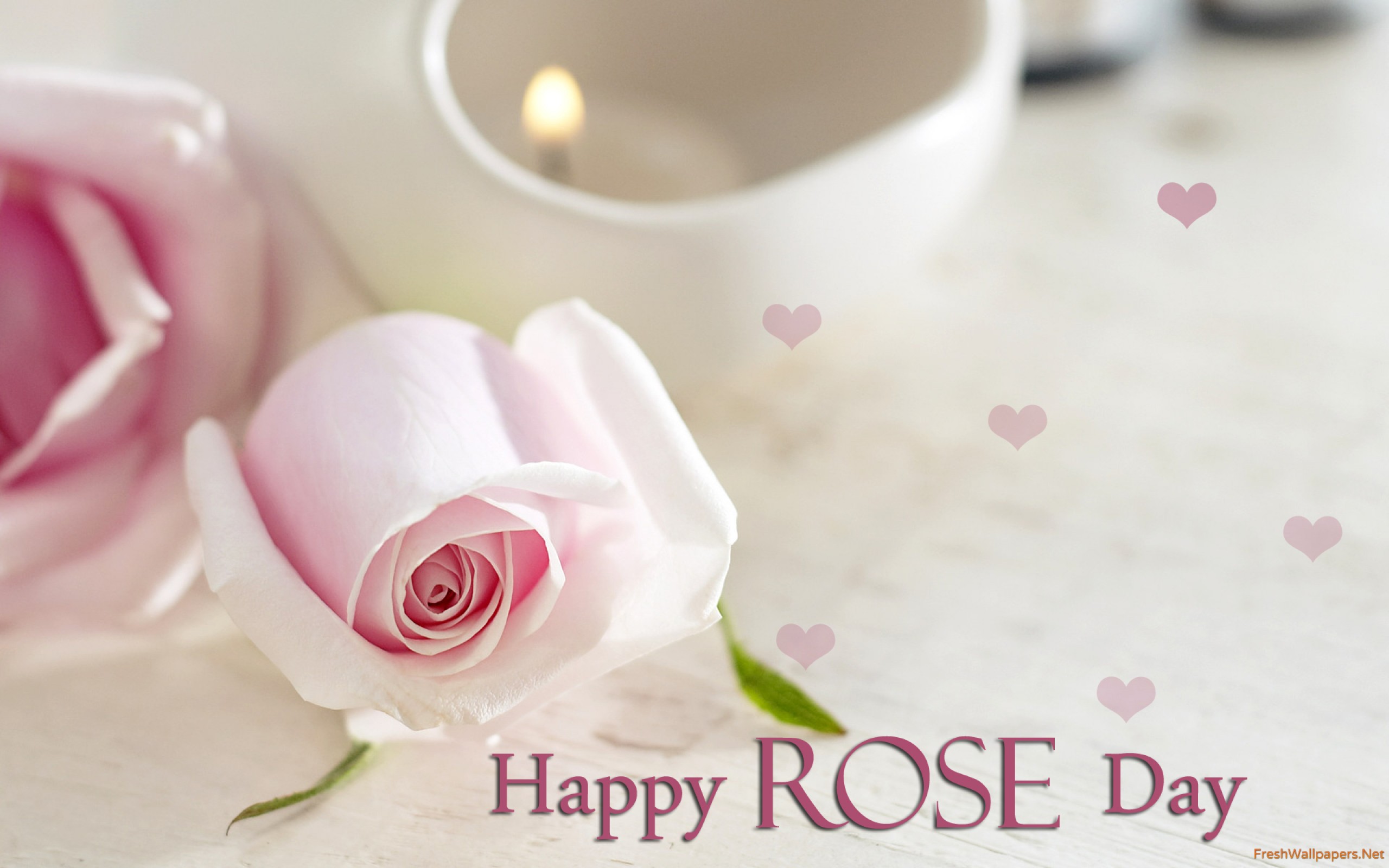 Happy Rose Day Wallpaper - Rose Day Wishes For Boyfriend , HD Wallpaper & Backgrounds