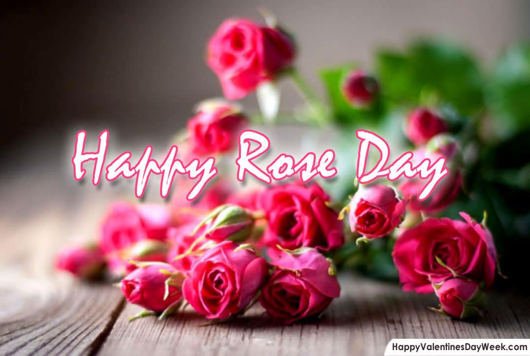 Happy Rose Day Hd Wallpapers - Happy Rose Day 2019 Images Download , HD Wallpaper & Backgrounds