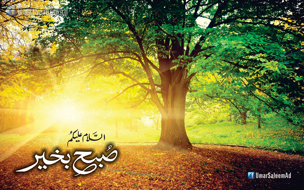 Assalamualaikum Subha Bakhair Good Morning Wallpaper - Beautiful Sunny Day , HD Wallpaper & Backgrounds