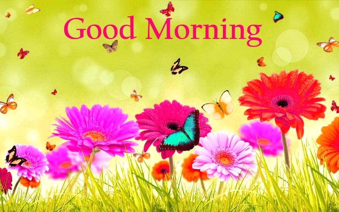 Good Morning Nature Gif Hello And Wallpaper - Good Morning Telugu Images Download , HD Wallpaper & Backgrounds