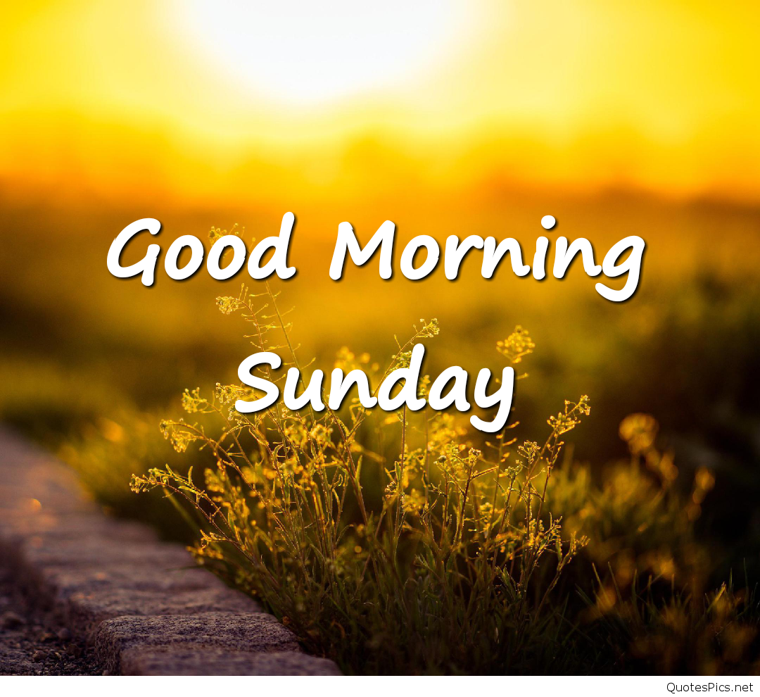 Good Morning Sunday Images Hd - Good Morning Images Hd Sunday , HD Wallpaper & Backgrounds