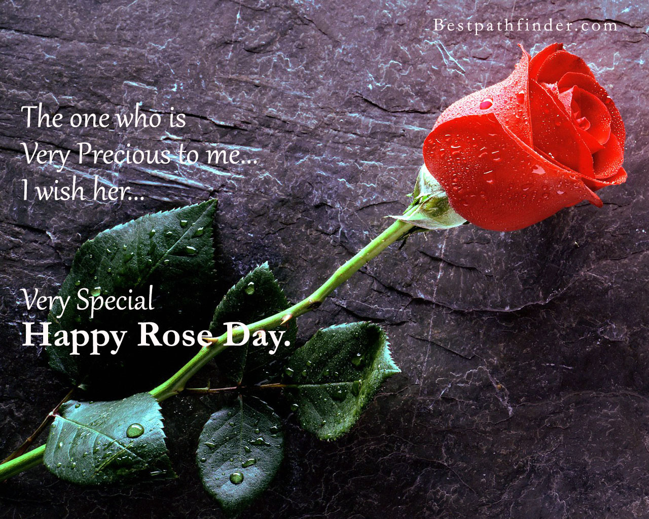 Happy Rose Day Hd Wallpaper , HD Wallpaper & Backgrounds