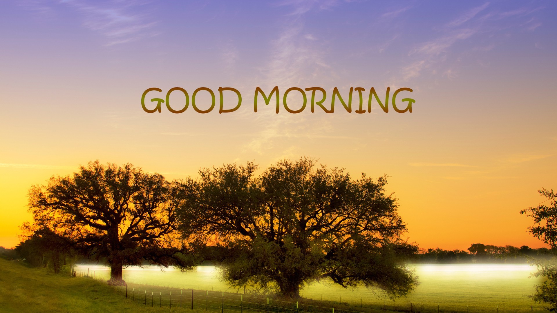 Good Morning Dear Wishes Wallpapers Download - Good Morning Natural Hd , HD Wallpaper & Backgrounds
