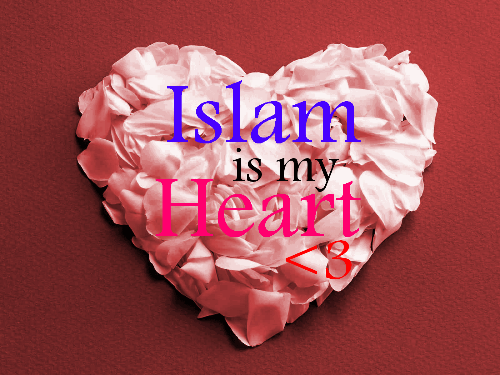 Assalamualaikum Warahmatullahi Wabaraktuhu - Islam Is My Heart , HD Wallpaper & Backgrounds