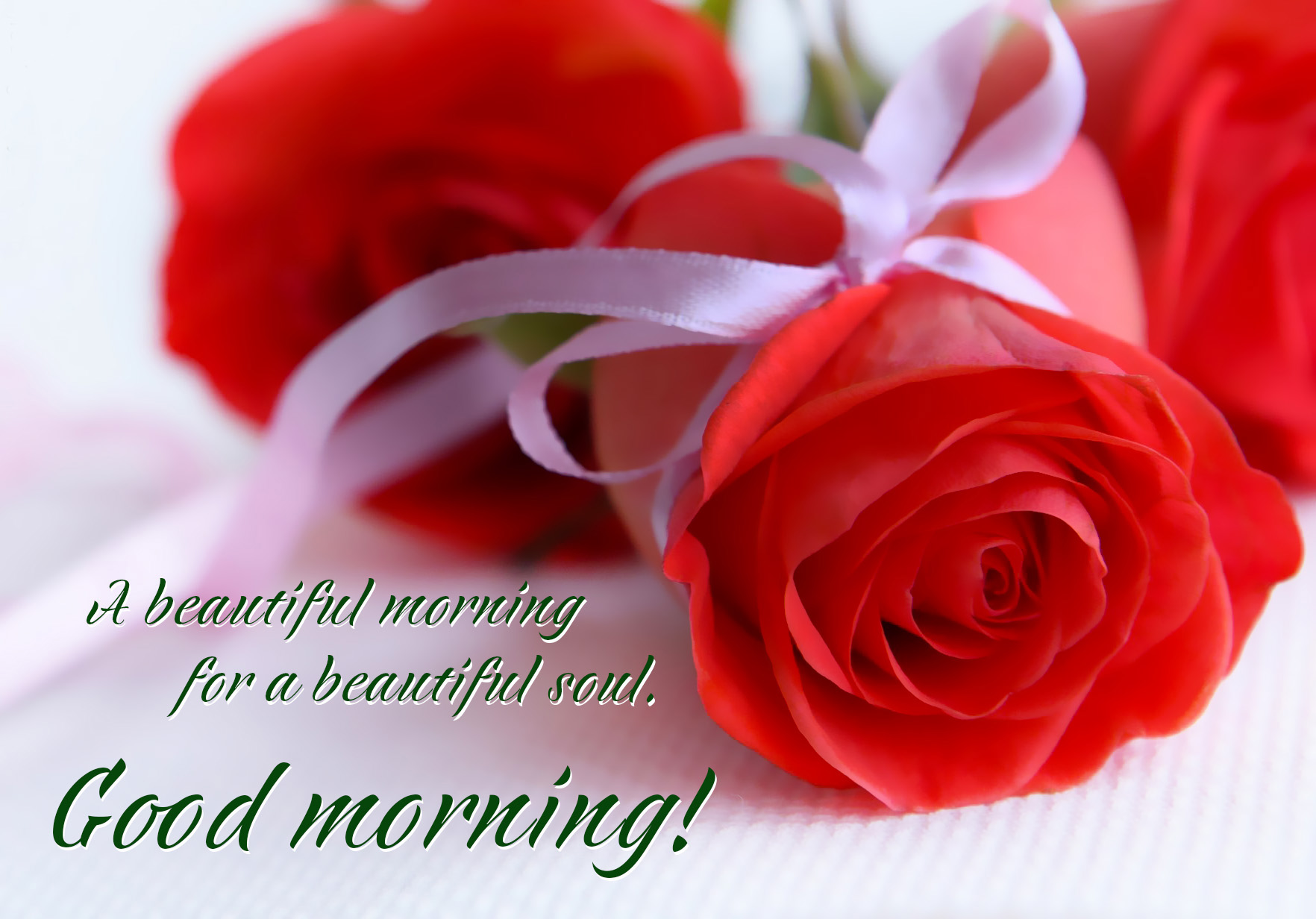Good Morning My Love Rose Greetings1 Com - Good Morning Beautiful With Roses , HD Wallpaper & Backgrounds