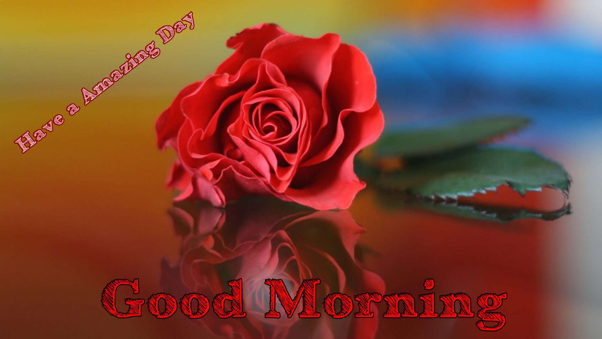 Good Morning Red Rose Hd Wallpaper - Lovely Good Morning Images Hd , HD Wallpaper & Backgrounds