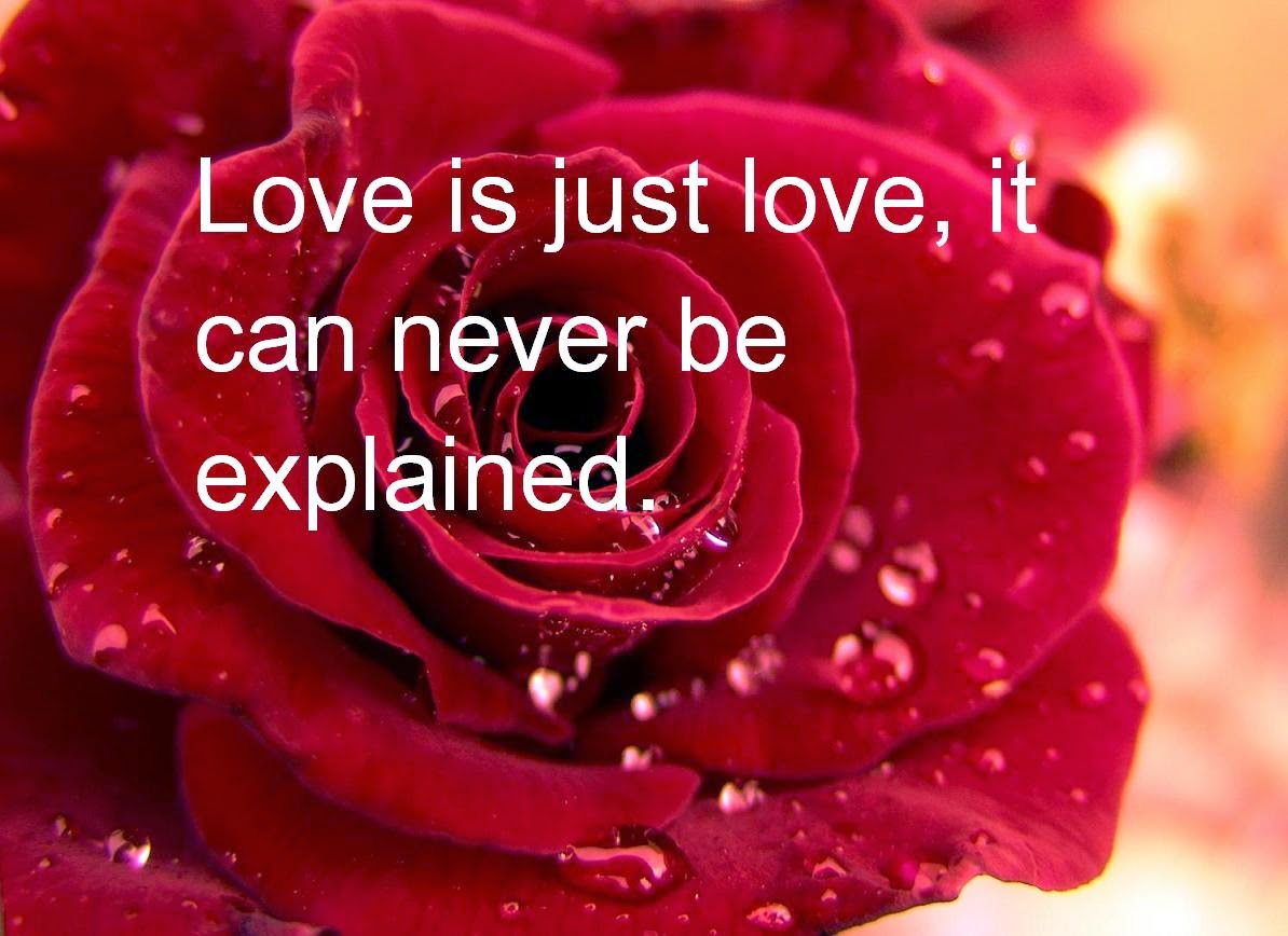 Red Rose Wallpaper With Love Quotes - Beautiful Red Roses With Love Quotes , HD Wallpaper & Backgrounds