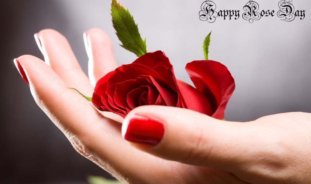 Happy Rose Day Hd Images - Happy Rose Day Hd , HD Wallpaper & Backgrounds