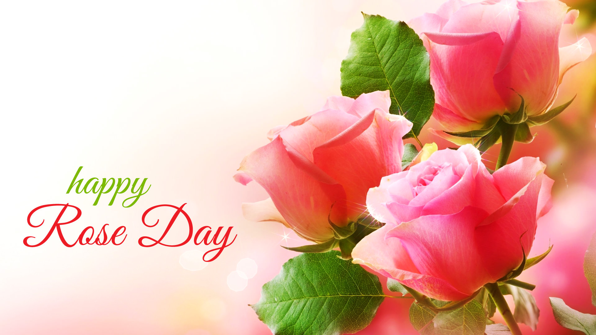 Happy Rose Day Pink Flowers - Happy Rose Day For Friends , HD Wallpaper & Backgrounds