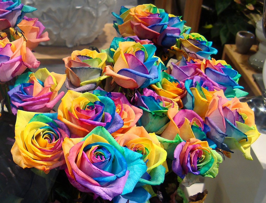 Download A Bunch Of Rainbow Roses - Every Color Rose , HD Wallpaper & Backgrounds
