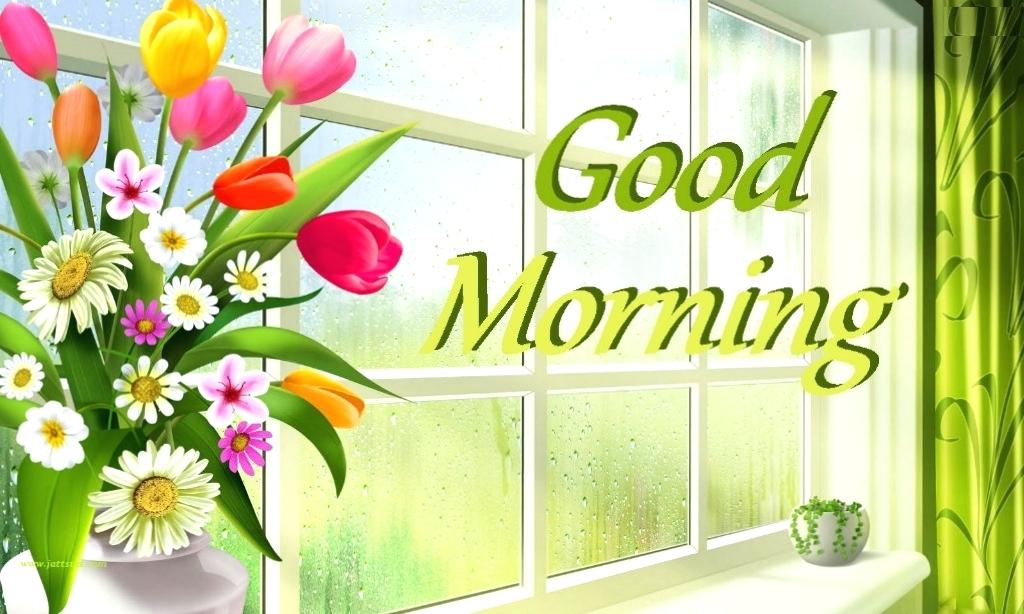 Good Morning Nature Hd Standard Good Morning Nature - Good Morning Hd Images With Nature , HD Wallpaper & Backgrounds