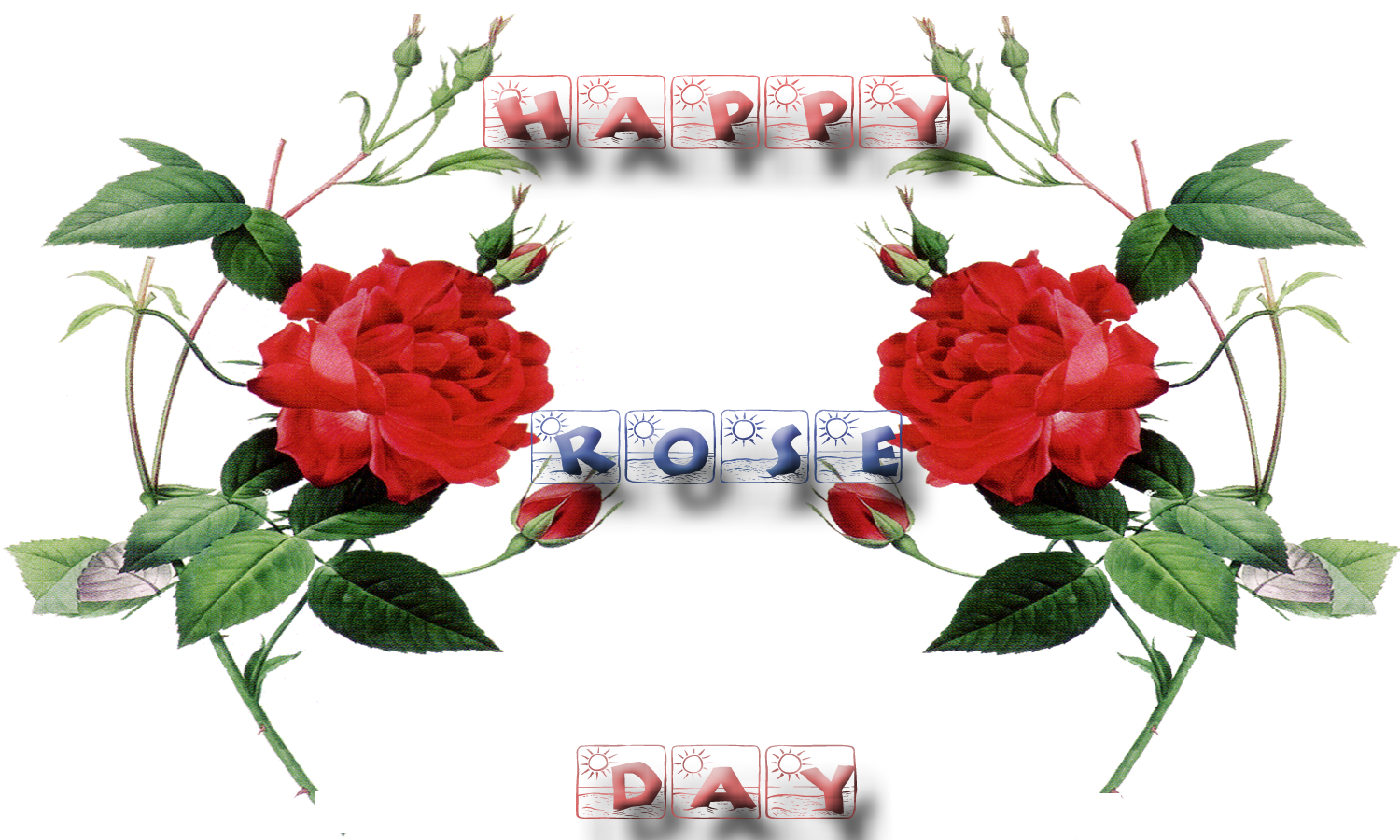 Happy Rose Day Love Wallpaper - Botanical Rose , HD Wallpaper & Backgrounds