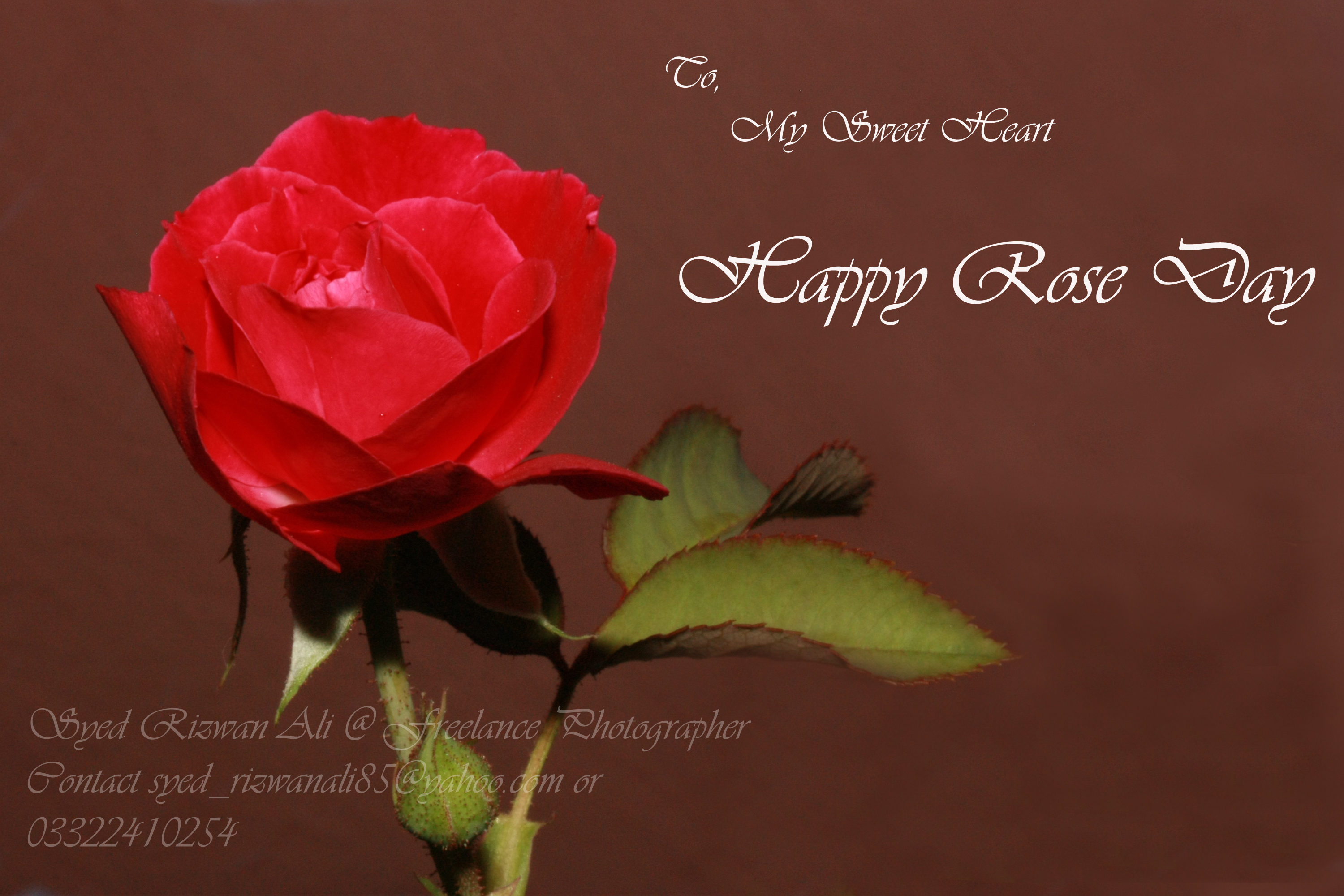 This Image Was Uploaded By Syed Rizwan - Happy Rose Day My Sweetheart , HD Wallpaper & Backgrounds