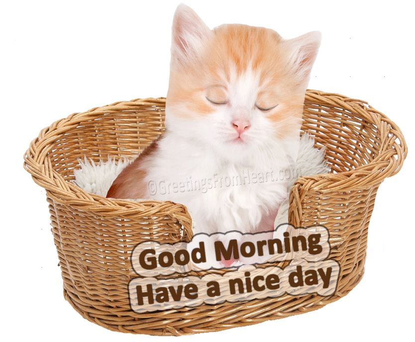 Good Morning Gif Wallpaper - Gud Mrng Animated Gif , HD Wallpaper & Backgrounds
