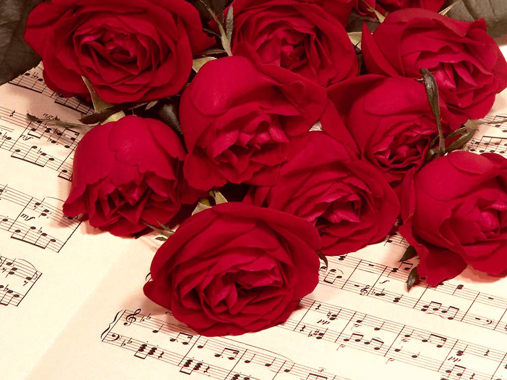 Love & Romance Red Roses Happy Rose Day For Mobile - Happy Rose Day Images Hd Free Download , HD Wallpaper & Backgrounds