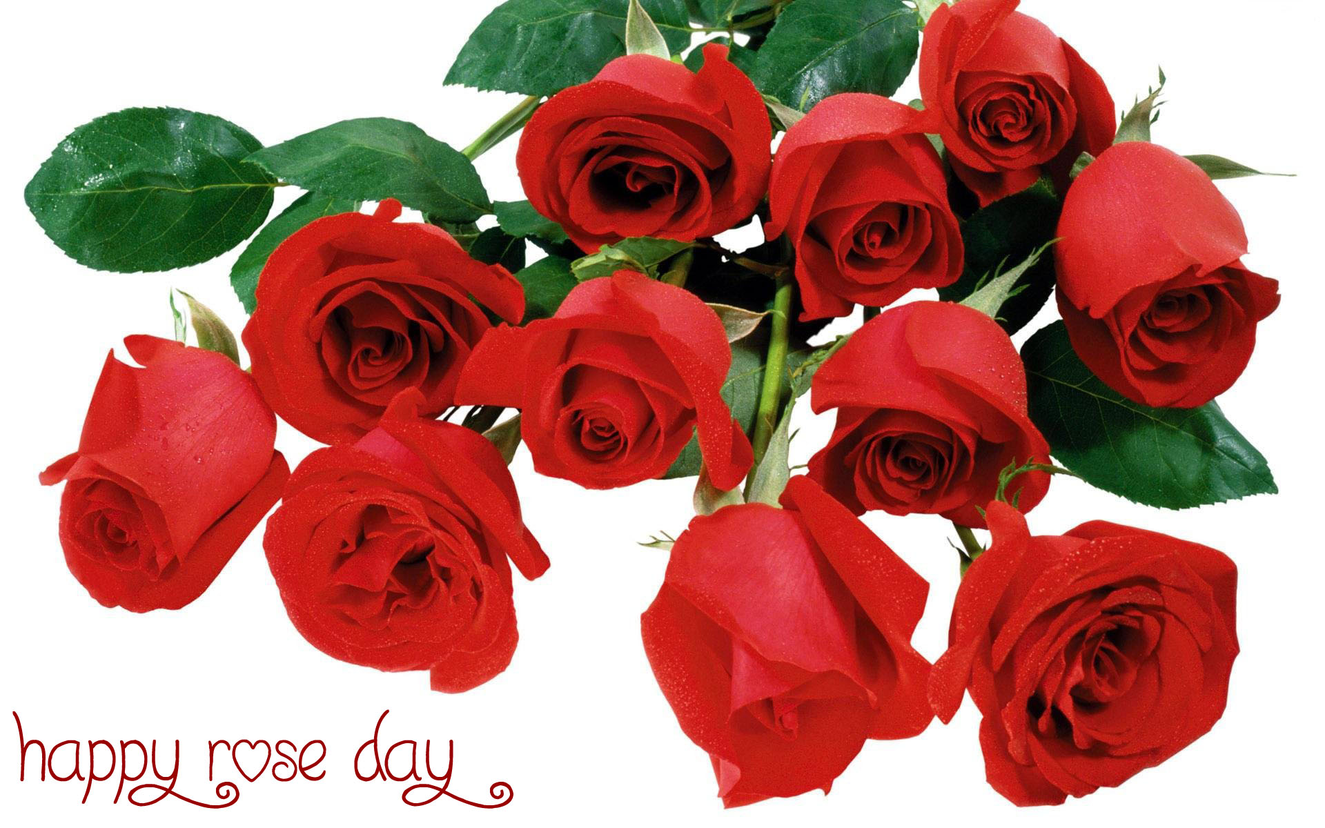 Happy Rose Day 2019 Special Images Happy Rose Day Cards - Поздравление С Днем Студента , HD Wallpaper & Backgrounds