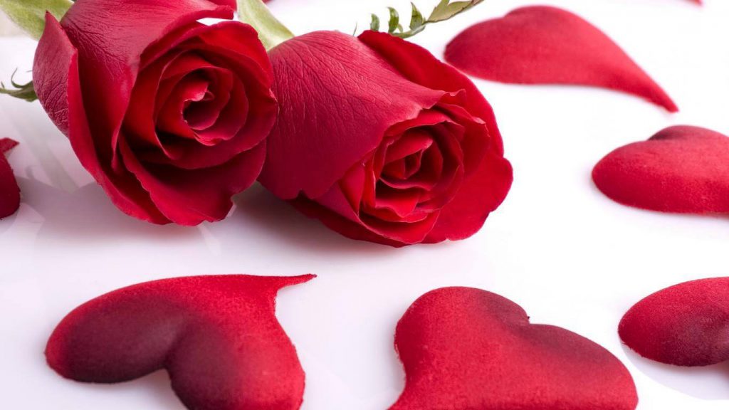 Rose Day Dp - Love Red Rose Flowers , HD Wallpaper & Backgrounds