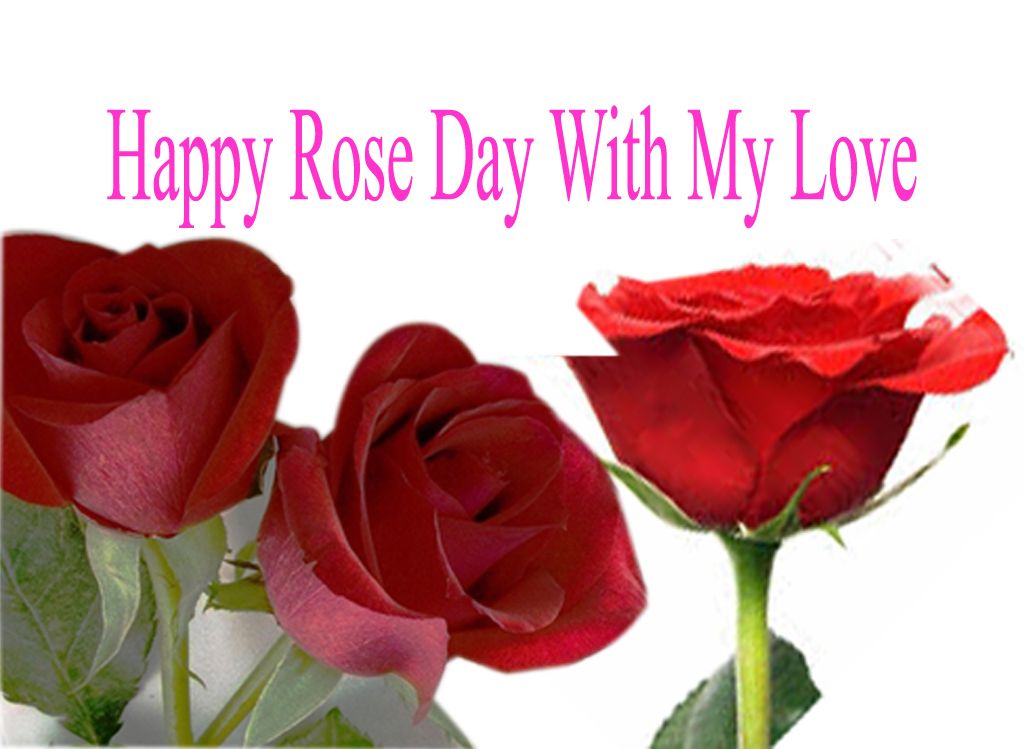 Happy Rose Day 2017 Wishes Quotes Sms Wallpapers - דברים מתוקים , HD Wallpaper & Backgrounds
