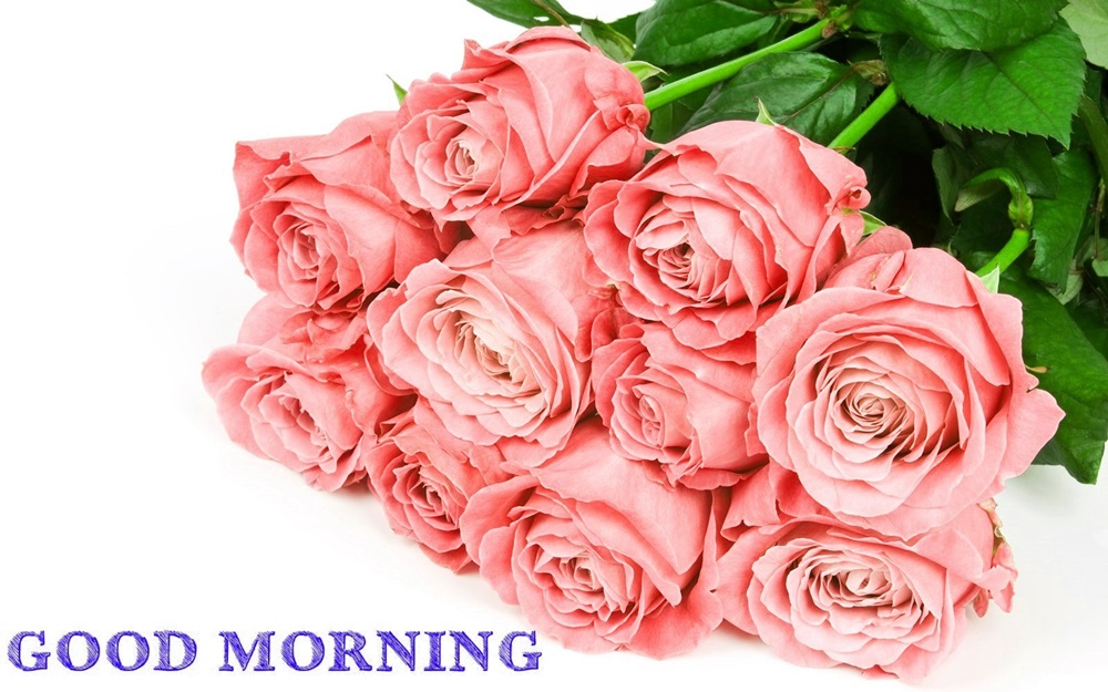 Good Morning Colourful Roses Hd Wallpaper - Filofax , HD Wallpaper & Backgrounds
