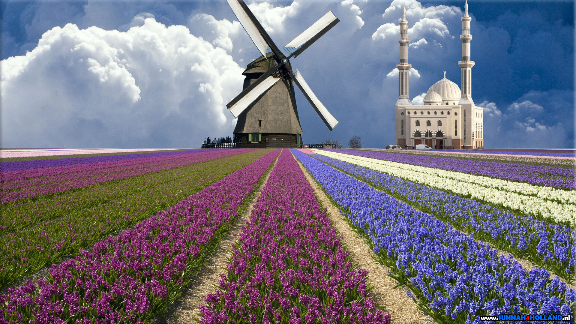 Dutch Mosque With Tulips And A Windmill (molen) - Tulipanes Holanda Hd , HD Wallpaper & Backgrounds