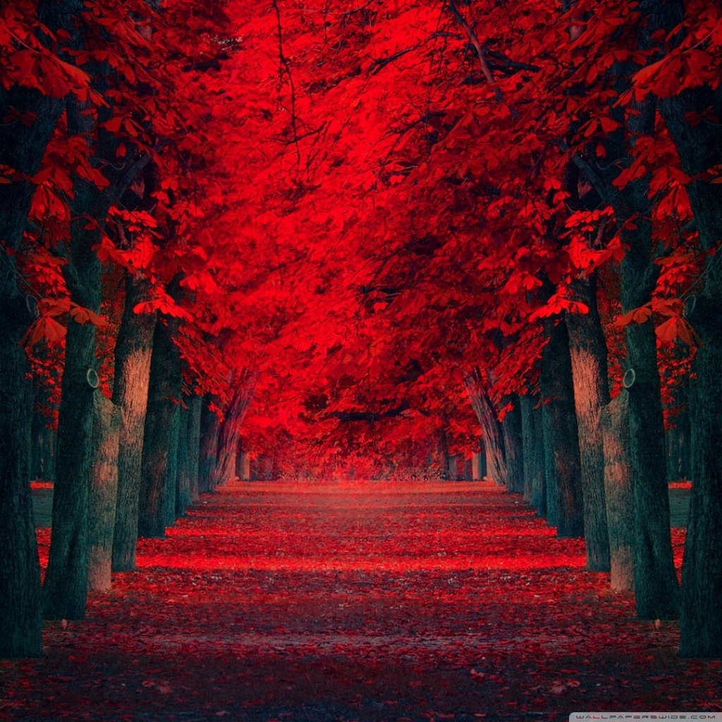Tablet 1 - - Beautiful Red Nature , HD Wallpaper & Backgrounds