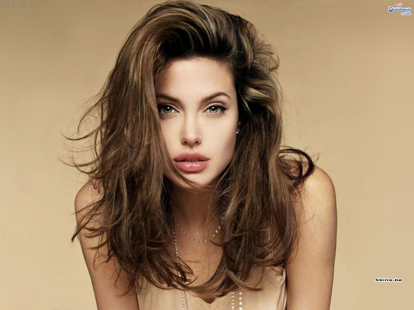 New Stylish And Cool Girls Dp For Facebook And Whatsapp - Angelina Jolie , HD Wallpaper & Backgrounds