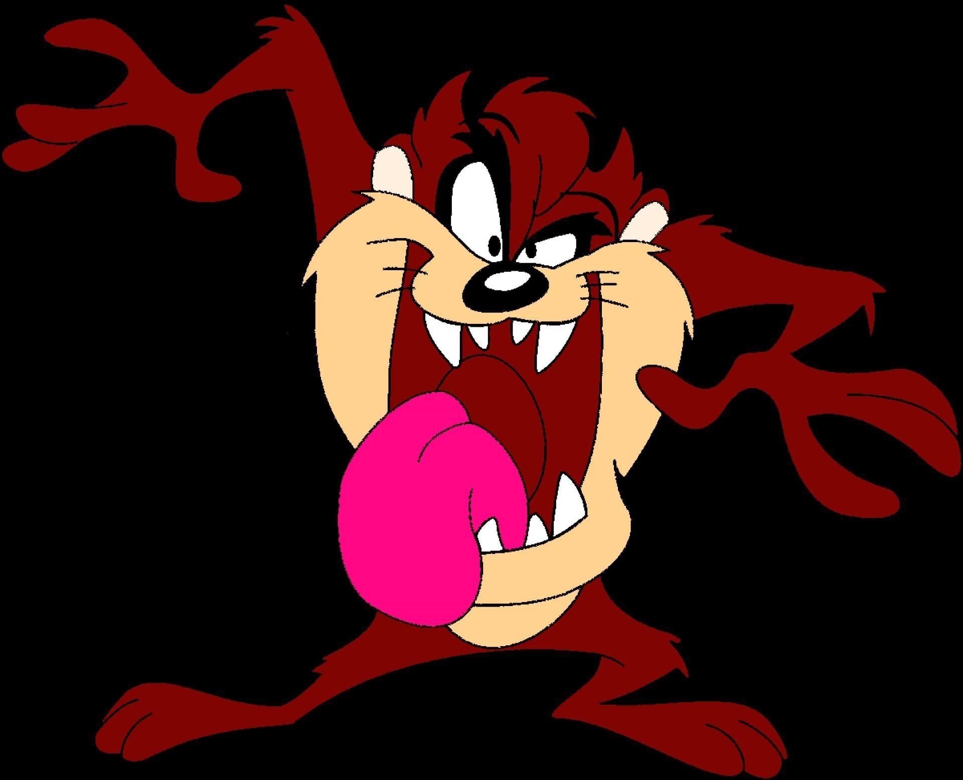 Tasmanian Devil Cartoon Png , HD Wallpaper & Backgrounds