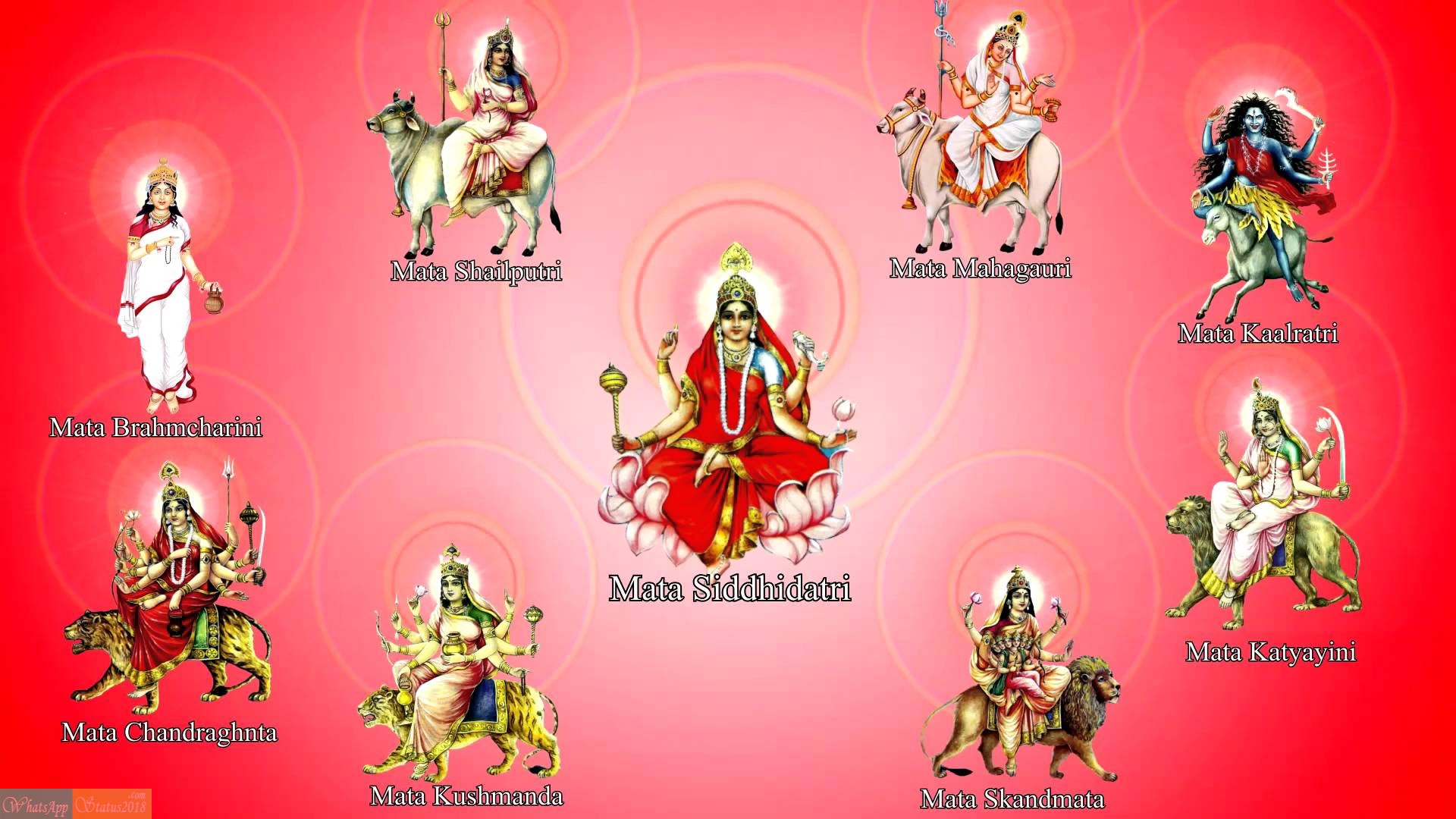 Navratri Maa Durga Images For Whatsapp Dp Profile Hd - Nine Days Of Navratri Goddess , HD Wallpaper & Backgrounds