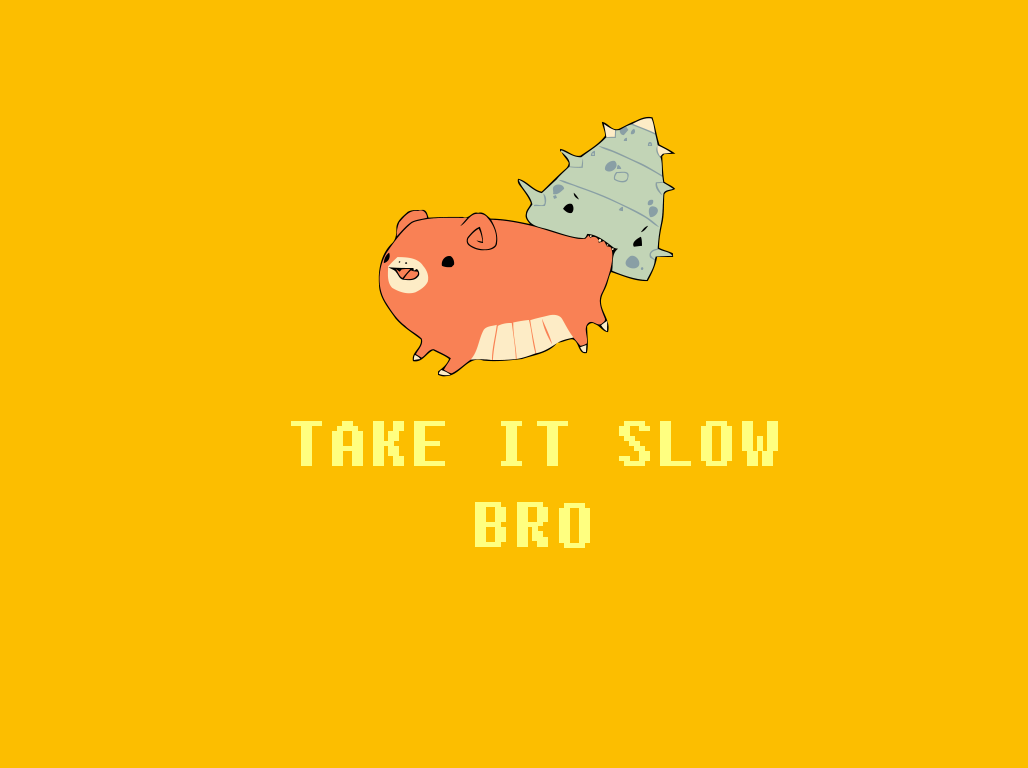 Take It Slow Bro , HD Wallpaper & Backgrounds