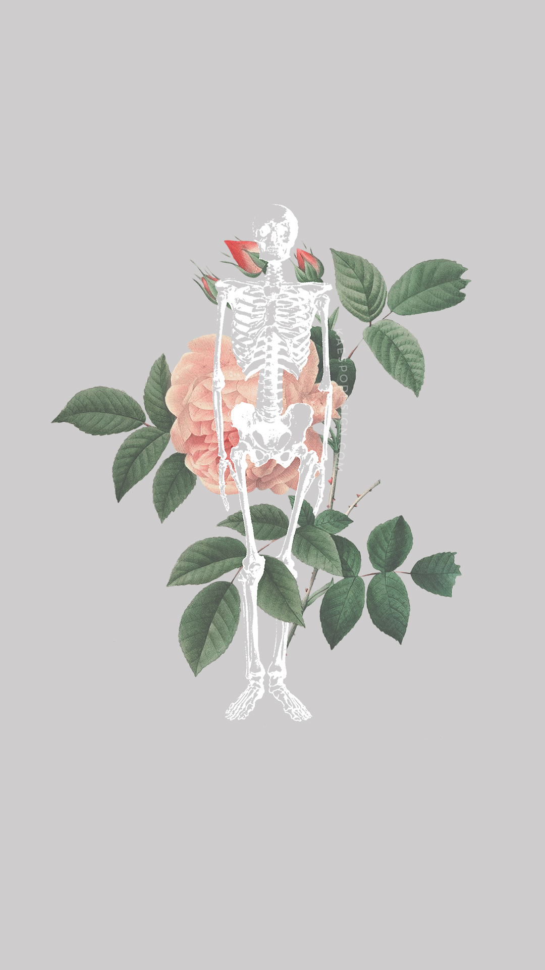 Lockscreens No Stay Alive Skeleton Lockscreens Get - Pierre Joseph Redouté Fleurs , HD Wallpaper & Backgrounds