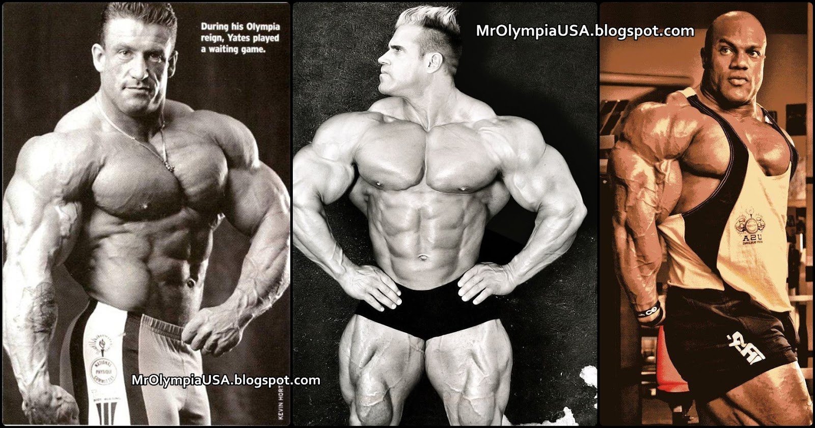 Arnold Schwarzenegger Vs Ronnie Coleman Vs Jay Cutler - Levrone Before And After , HD Wallpaper & Backgrounds