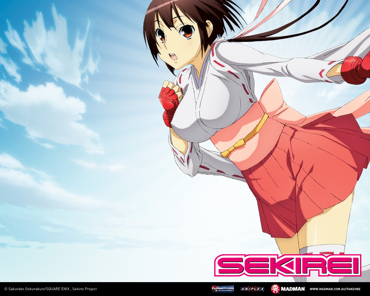 Sekirei Collection - Animes Sekirei , HD Wallpaper & Backgrounds