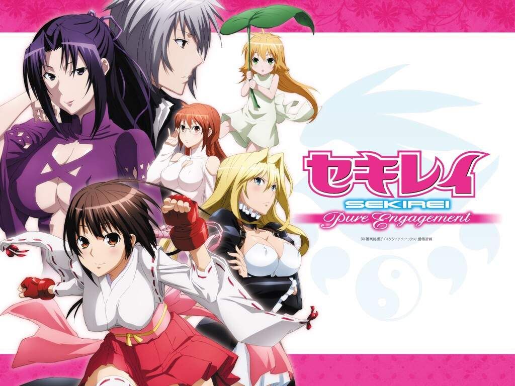 Sekirei Wallpaper - Sekirei Pure Engagement Anime , HD Wallpaper & Backgrounds