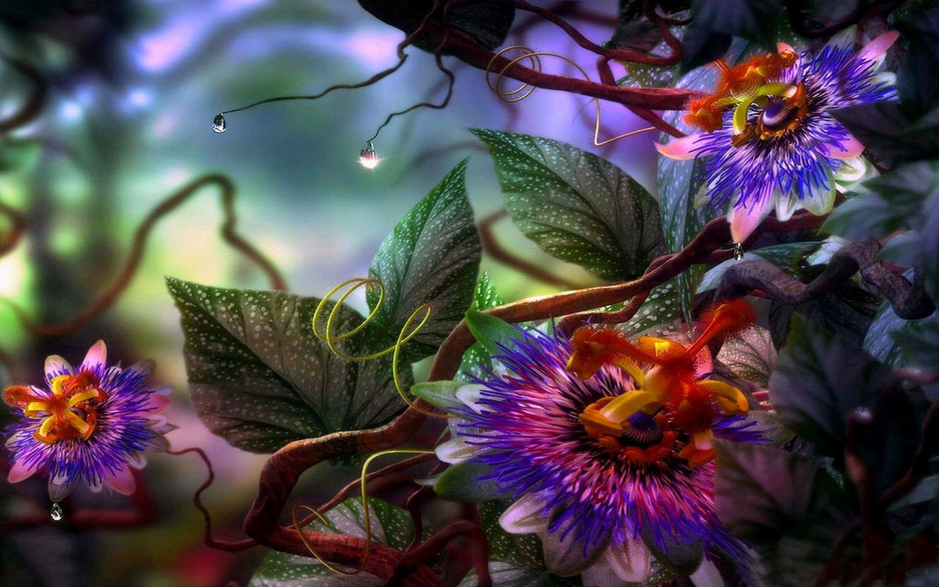 Passion Flowers - Passion Flowers Hd , HD Wallpaper & Backgrounds