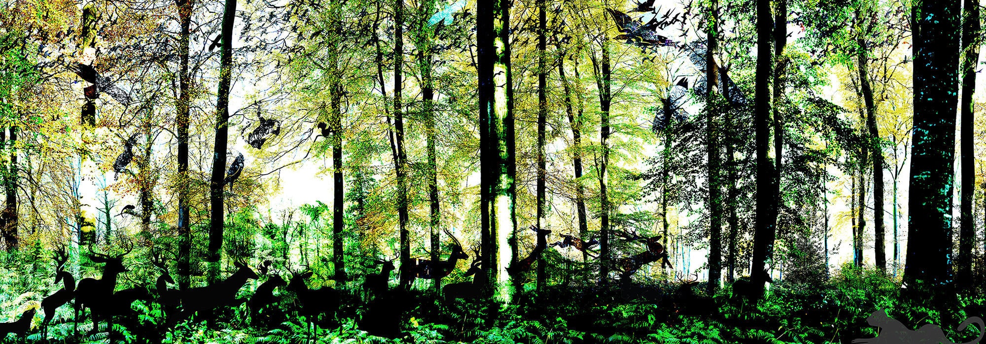 Original Design Wallpaper / Nature Pattern / Green - Spruce-fir Forest , HD Wallpaper & Backgrounds