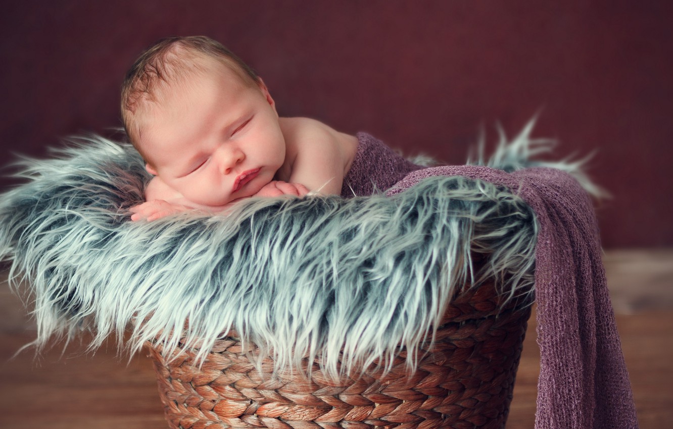 Photo Wallpaper Child, Sleep, Boy, Sleeping, Fur, Basket, - Bébé Dans Un Panier , HD Wallpaper & Backgrounds