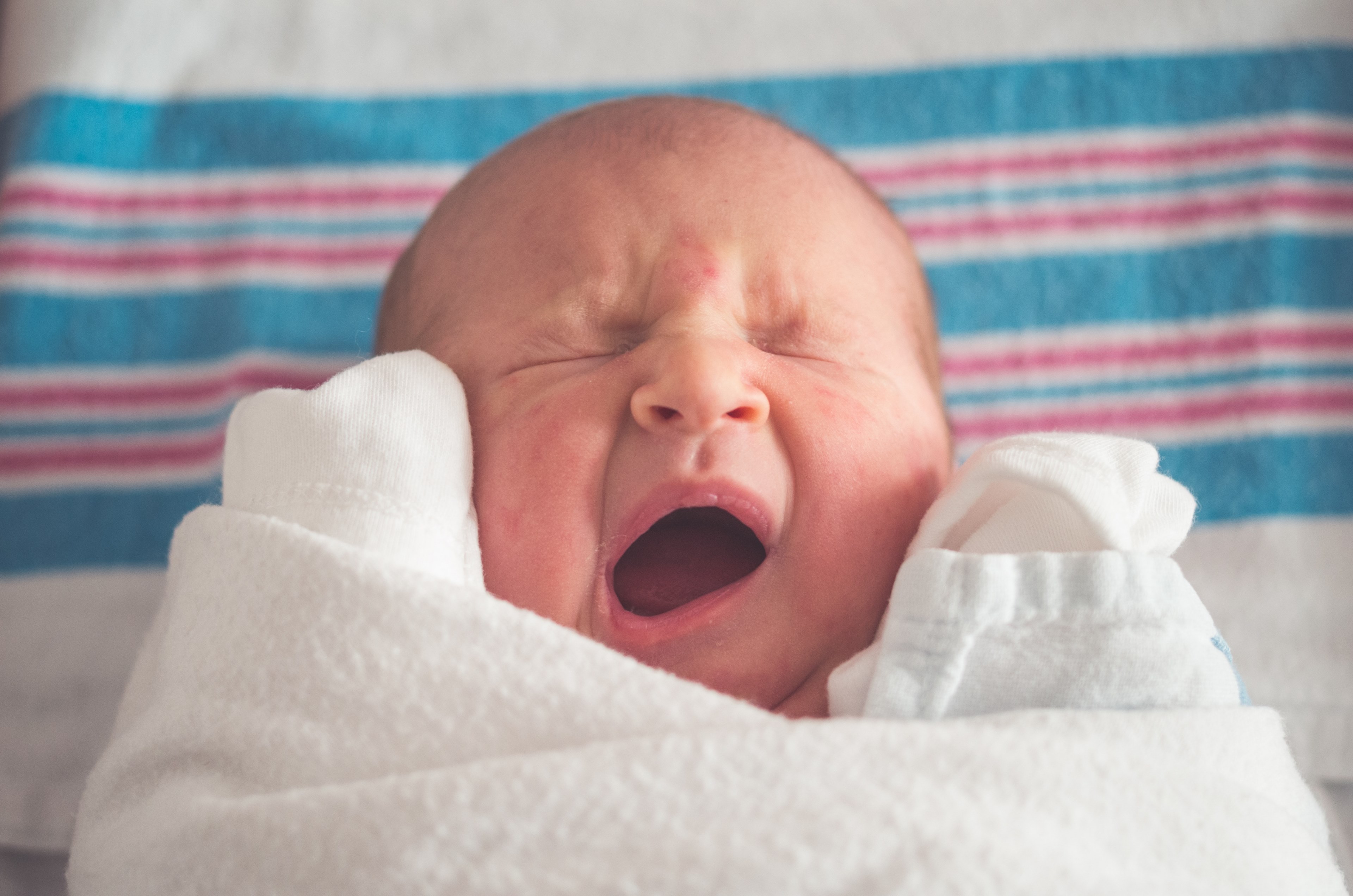 #3840x2543 A Newborn Baby Wrapped In A Hospital Blanket - Enzo Gabriel Foi O Nome Mais Registrado , HD Wallpaper & Backgrounds