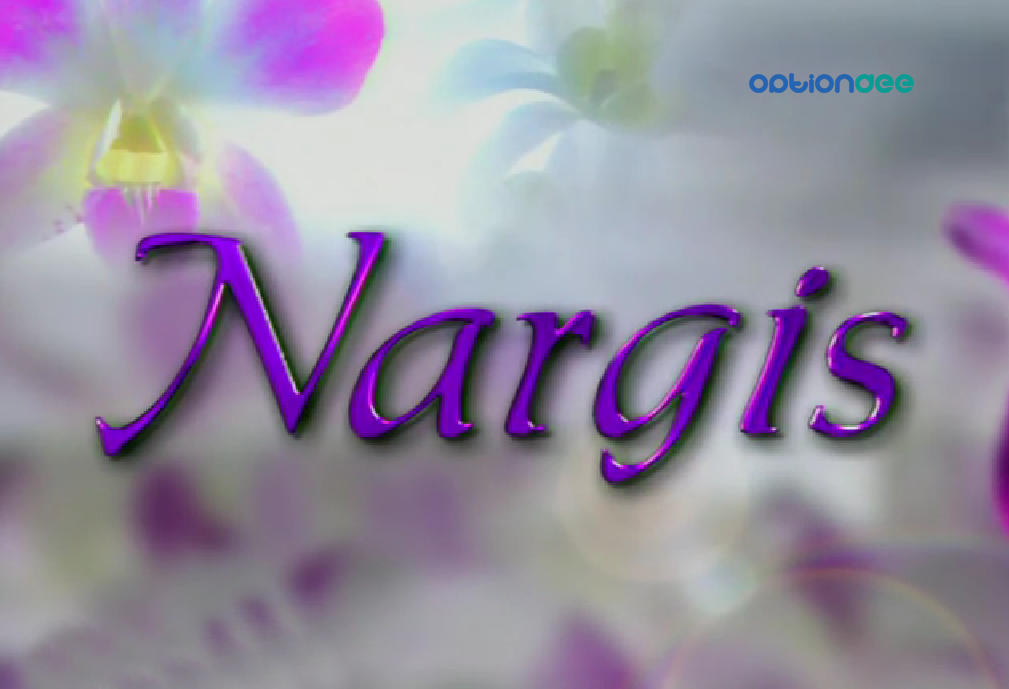 Watch Dd Metro's 9 Gold Golden Hours Another Hit Tv - Nargis Serial Dd National , HD Wallpaper & Backgrounds