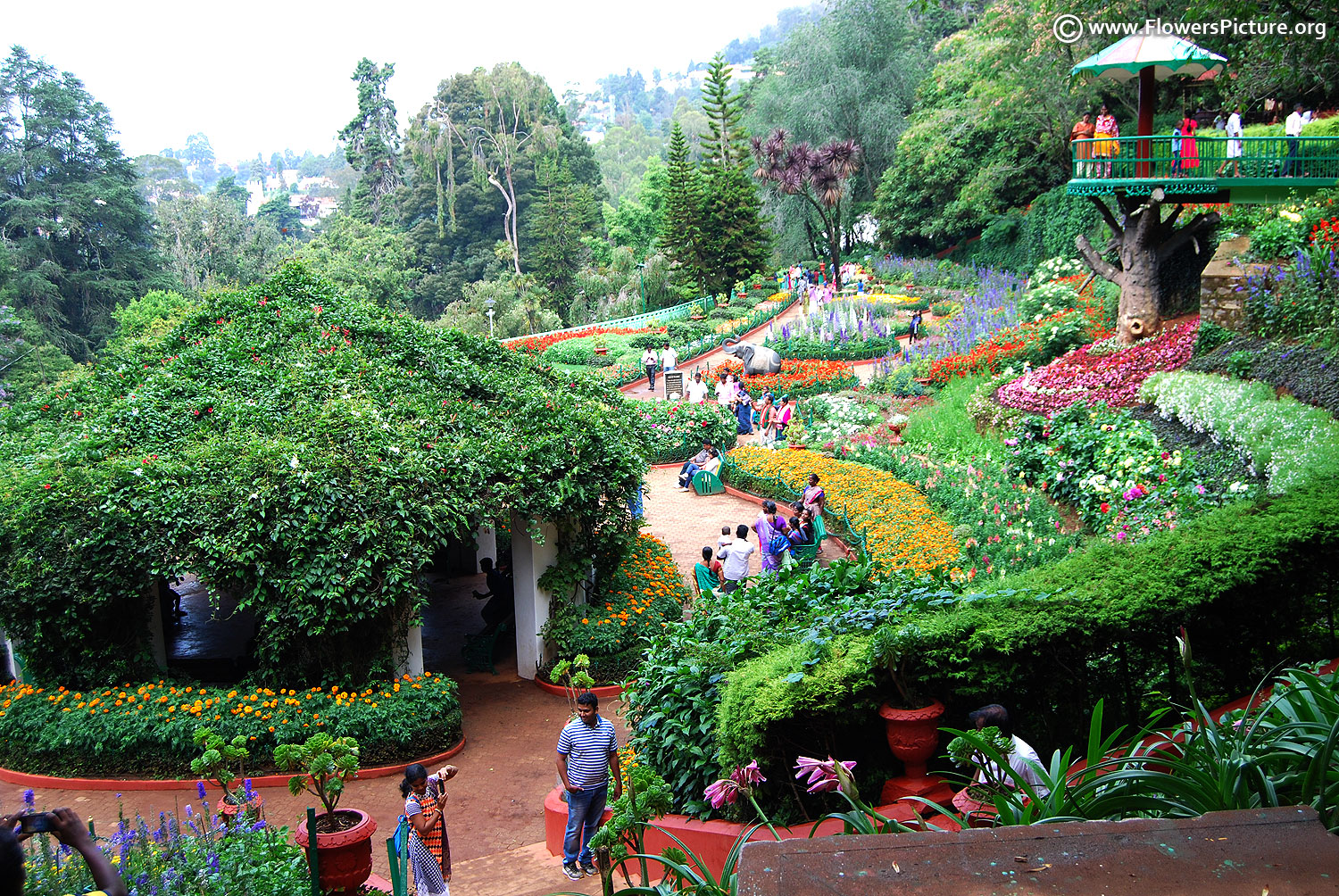 Government Botanical Garden Ooty - Ooty Government Botanical Garden (#1715731) - HD Wallpaper & Backgrounds Download