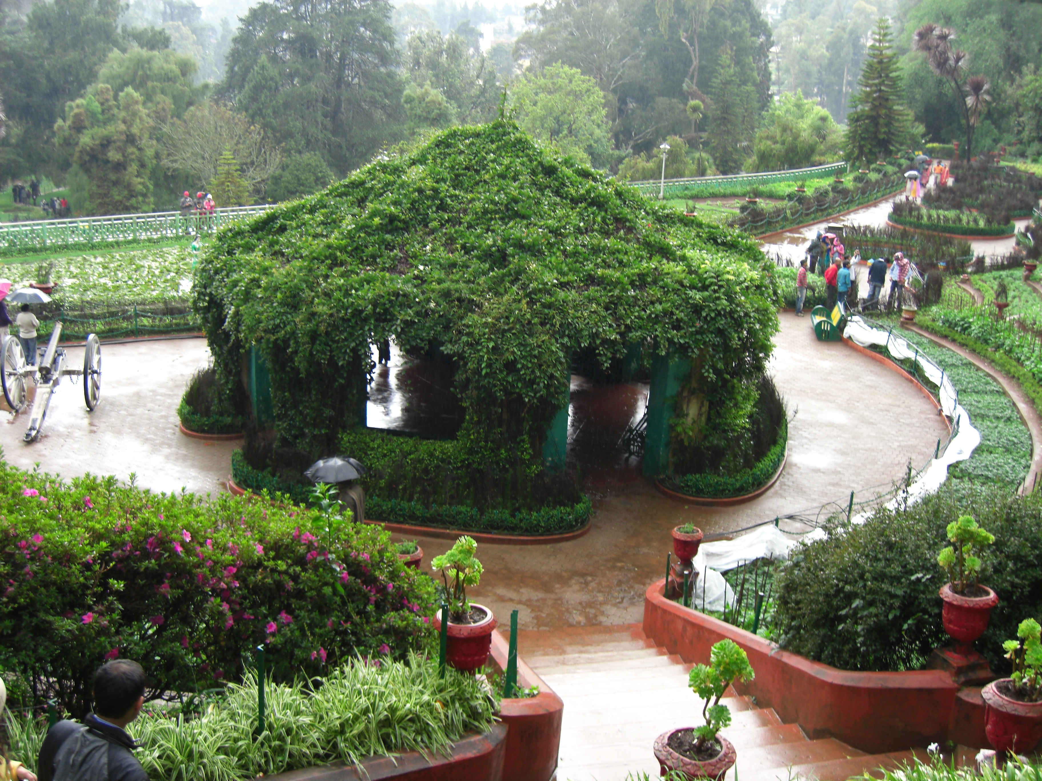 Ooty Botanical Gardens - Tourist Place In Ooty , HD Wallpaper & Backgrounds