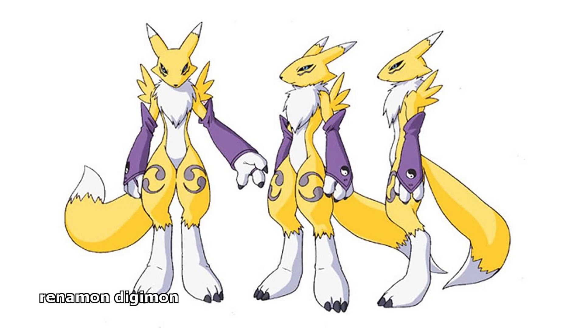 Digimon Renamon , HD Wallpaper & Backgrounds