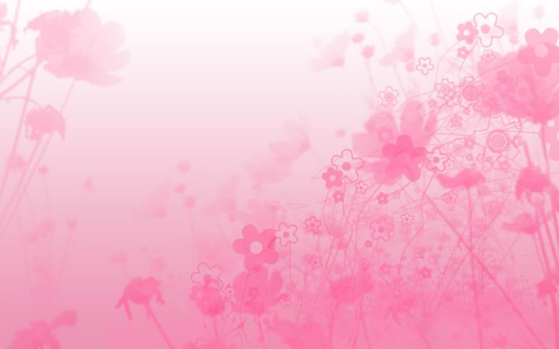 Pink Abstract Flower Wallpaper Background Is 4k Wallpaper - Pink