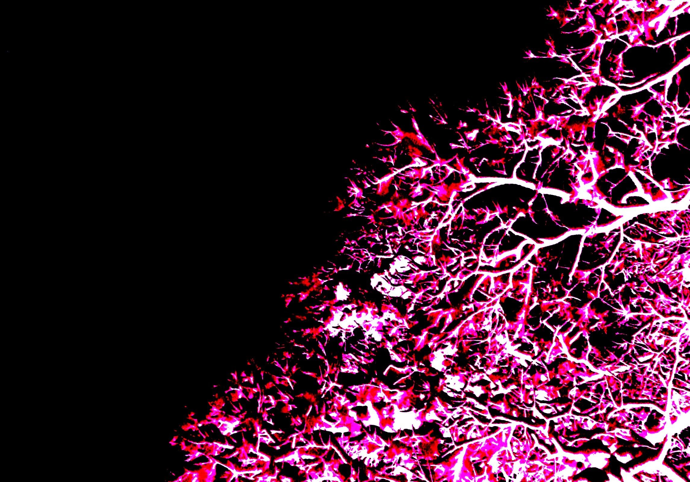 Pink Hd Desktop Wallpapers - Pink Glow In The Dark , HD Wallpaper & Backgrounds